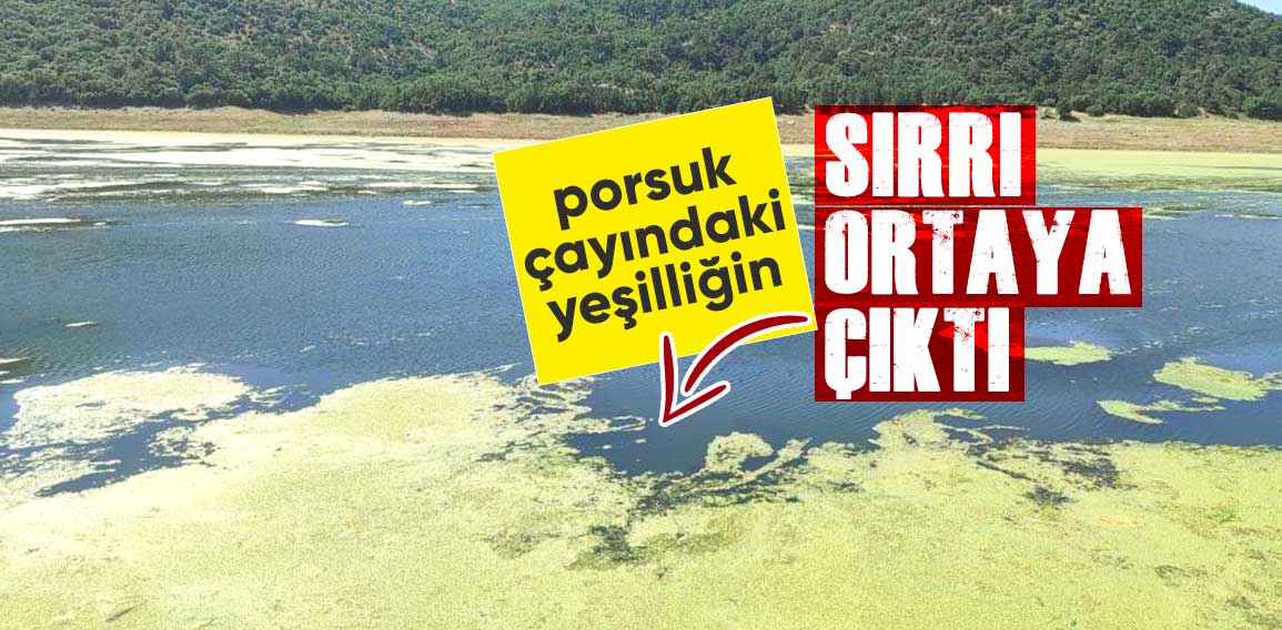 KİRLİLİK DEĞİL AKSİNE SAĞLIK