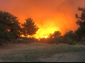 Tavşanlı itfaiye ekipleri Çanakkale’de