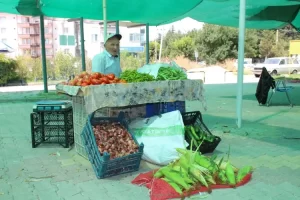 Tavşanlı köy pazarı vatandaşların gözdesi oldu