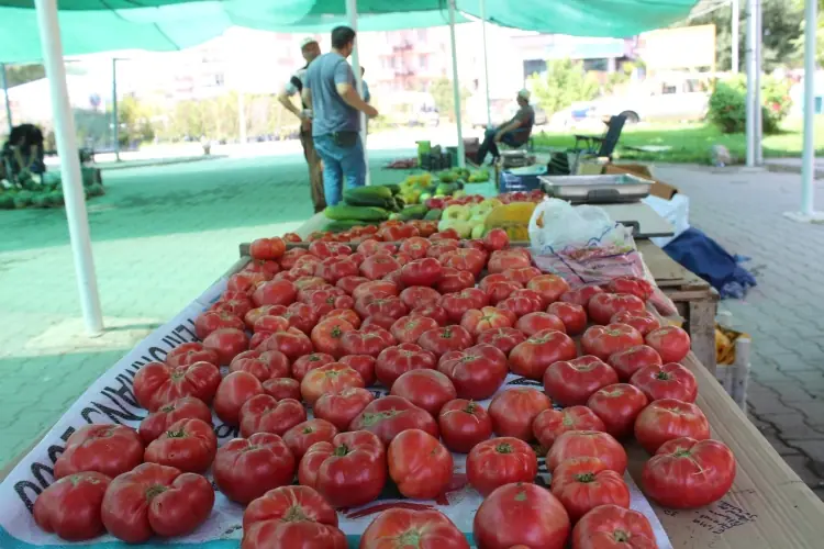 Tavşanlı köy pazarı vatandaşların gözdesi oldu