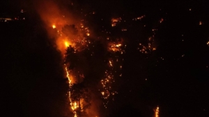 Orman yangınlarının yüzde 48’i ihmal, dikkatsizlik ve kaza ile çıktı