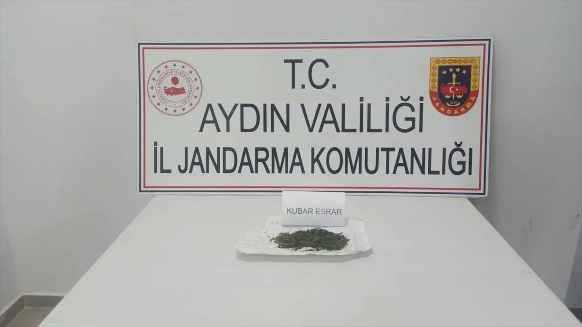 Aydın‘ın İncirliova ilçesinde at