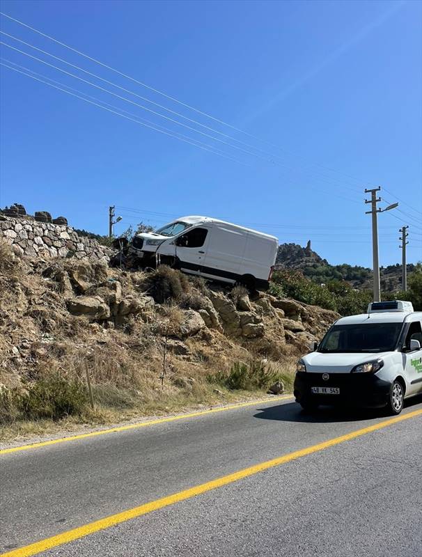 Muğla’nın Bodrum ilçesinde domuza