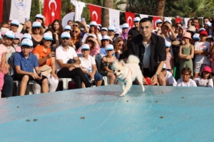 Denizli’de “Pati Festivali” yapıldı