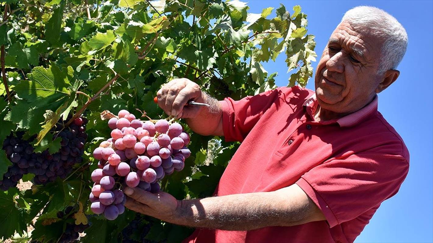 Kırıkkale‘nin Bahşılı ilçesinde devletin