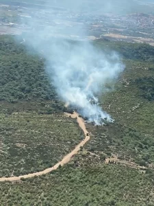 İzmir Foça’da orman yangını çıktı