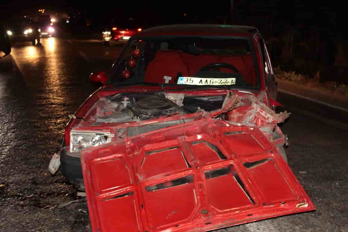 İzmir’in Ödemiş ilçesinde iki