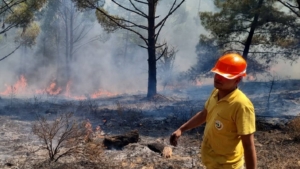 Muğla’da yıldırımlar 36 yerde yangına neden oldu