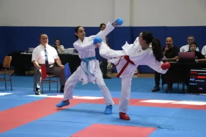 Tavşanlı’da büyük karate heyecanı