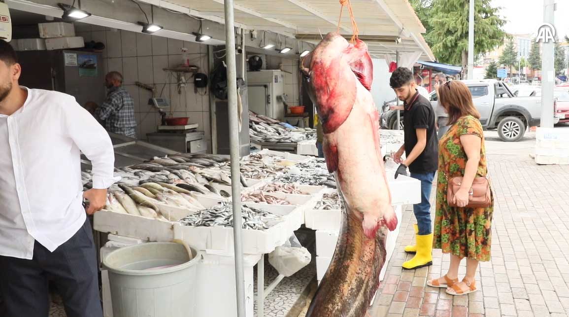 Samsun’un Bafra ilçesinde balıkçılar,