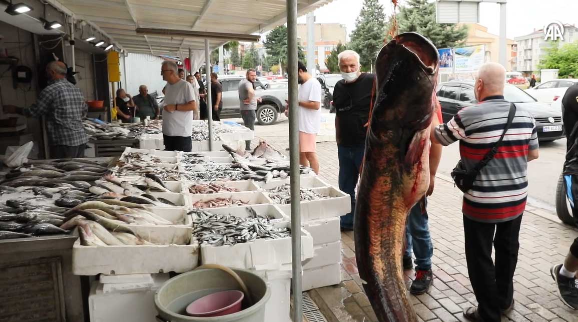 Baraj gölünde 94 kilogramlık yayın balığı yakalandı