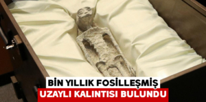 Bin yıllık fosilleşmiş uzaylı kalıntısı bulundu