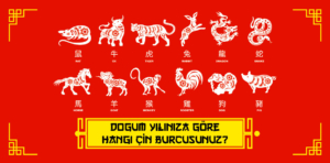 Doğum Yılınıza Göre Hangi Çin Burcusunuz?