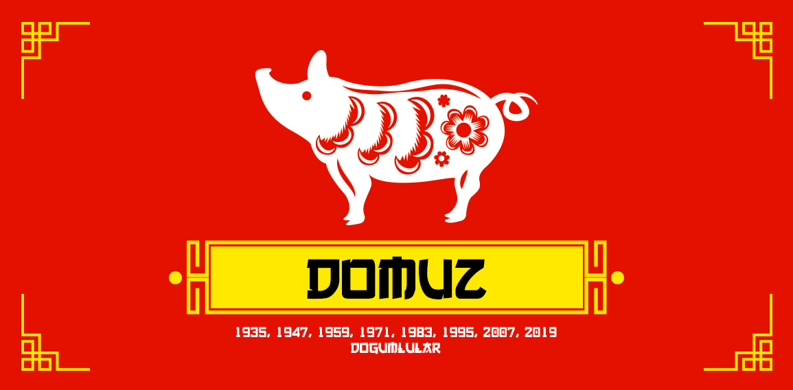 Domuz burcu, Çin Zodyağı’nda