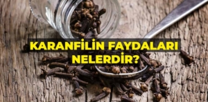 Karanfilin faydaları nelerdir?