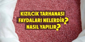 Kızılcık tarhanası faydaları nelerdir? Nasıl yapılır?