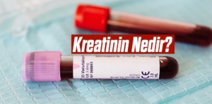 Kreatinin Nedir?