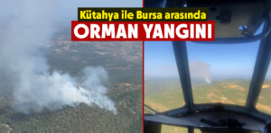 Kütahya ile Bursa arasında orman yangını çıktı