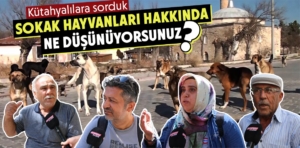 Kütahyalılar sokak hayvanları hakkında ne düşünüyor?