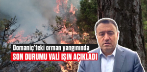 Domaniç’teki orman yangınında son durum