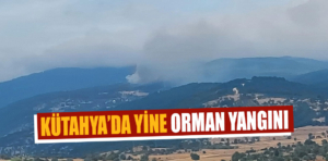 Kütahya’da yine orman yangını