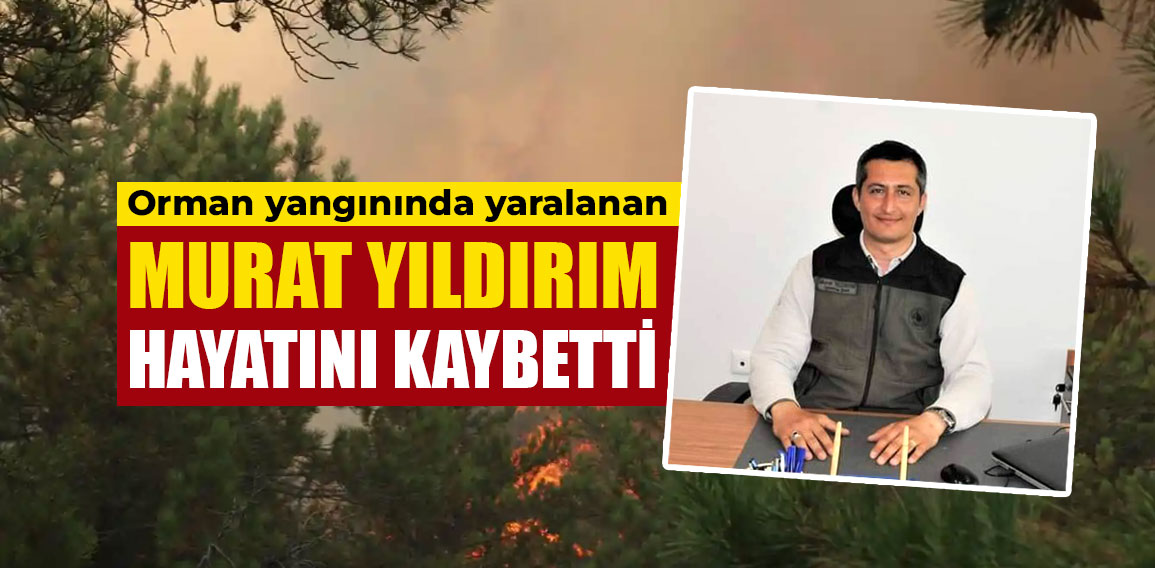 Fotoğrafların devamı için tıklayın