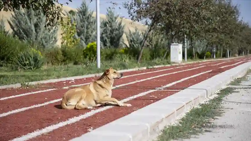 Ankara’nın Gölbaşı İlçesi Eymir