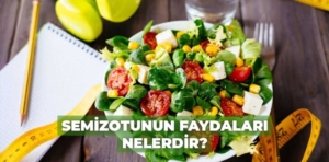 Semizotunun faydaları nelerdir?