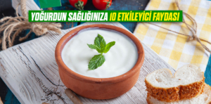 Yoğurdun Sağlığınıza 10 Etkileyici Faydası