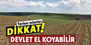 Bunu yapmayanın tarlasına devlet el koyabilecek