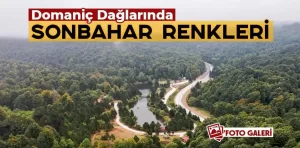 Domaniç Dağları sararan ilk yapraklarla sonbahara girdi