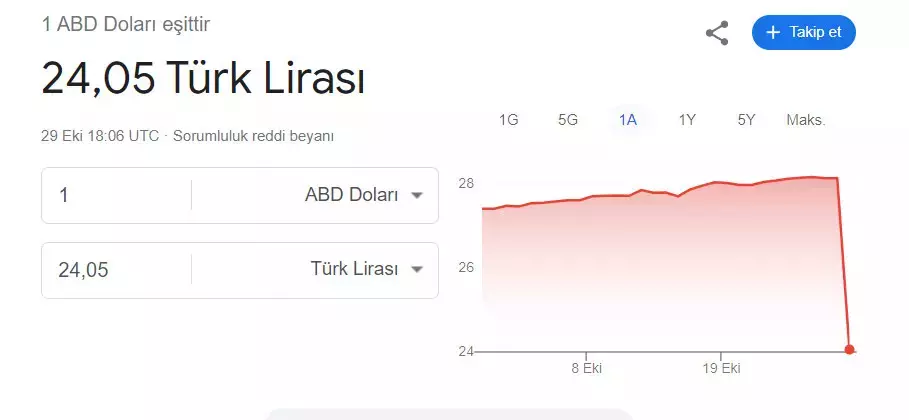 Google'ın dolar hatası pahalıya patladı