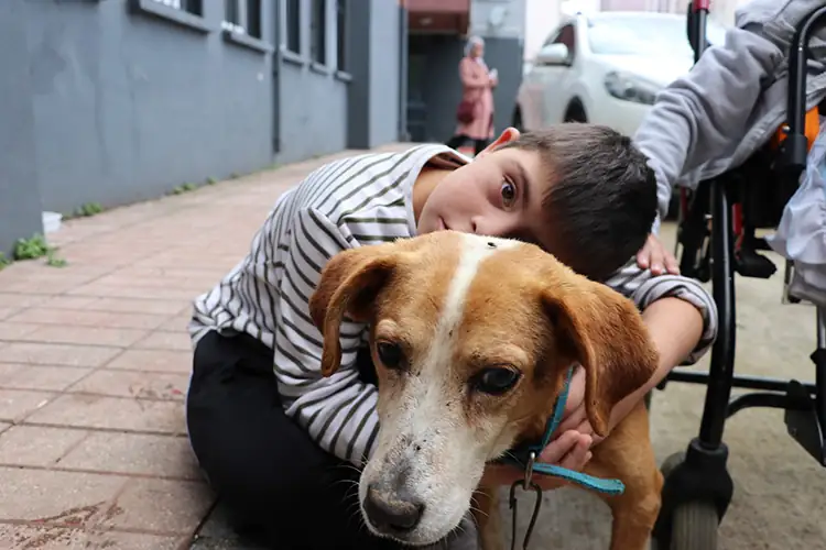 Gözleri görmeyen köpeğe öğretmenler ve öğrenciler sahip çıktı