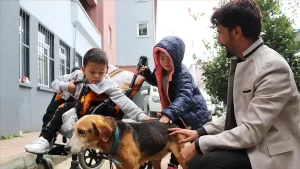 Gözleri görmeyen köpeğe öğretmenler ve öğrenciler sahip çıktı