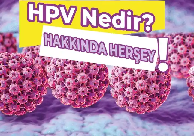 HPV (İnsan Papilloma Virüsü)