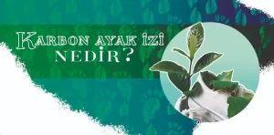 Karbon ayak izi nedir?