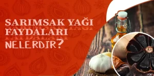 Sarımsak yağı faydaları? Nasıl kullanılır?