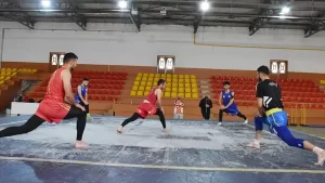 Wushu Milli Takımı, Dünya Şampiyonası için çalışıyor