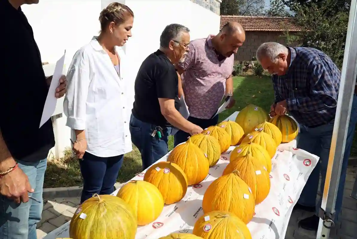 Muğla‘nın Menteşe ilçesinde bu