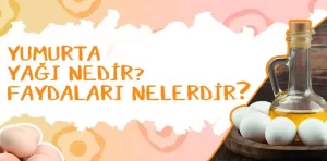 Yumurta Yağı Nedir? Faydaları Nelerdir?