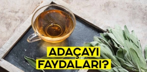 Adaçayı faydaları nelerdir? Neye iyi gelir?