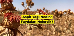 Aspir yağının faydaları, kullanımı ve özellikleri nelerdir?