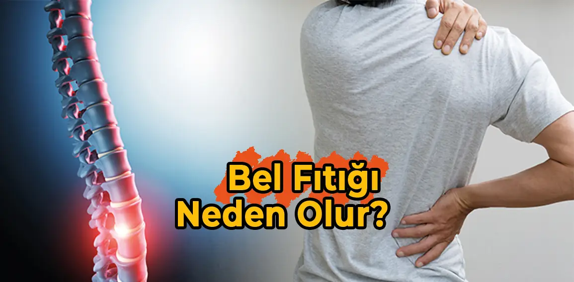 Bel fıtığı, omurganın alt