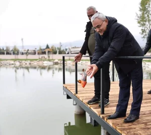 Kütahya’da Yedigöllere koi balığı desteği 