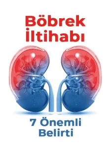 Böbrek İltihabının 7 Önemli Belirtisi