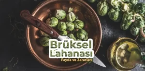 Brüksel Lahanası Faydaları Nelerdir?