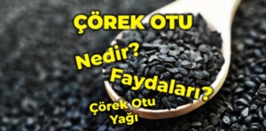 Çörek Otu Nedir? Çörek Otu Yağının Faydaları