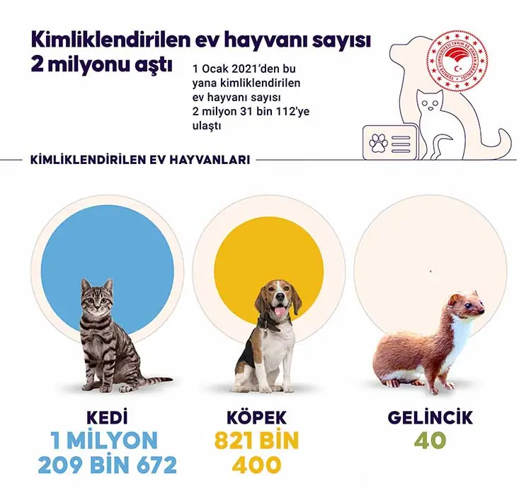 ev hayvanı kimliklendirilmesi