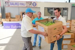 Bodrum Belediyesinin yetiştirdiği fideler üreticiyle buluştu