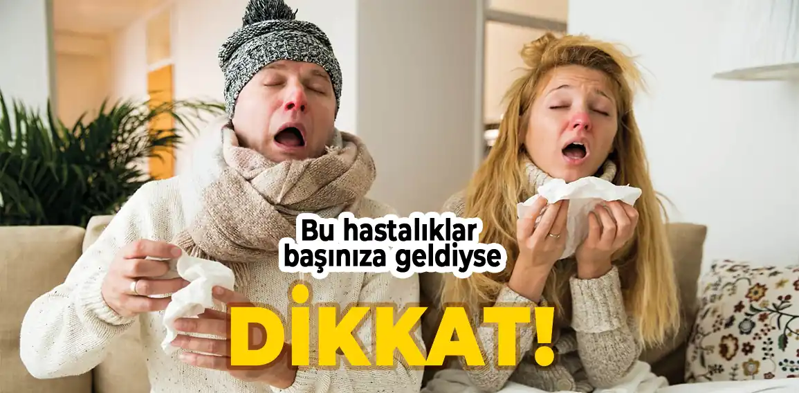 Havaların bir ısınıp bir